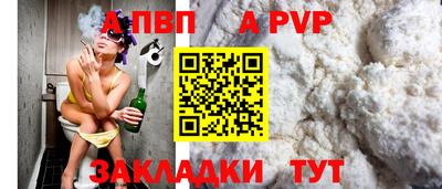 гашик Тара